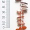 6 Packs of Button Tinted Shell Beads - Beige - 15mm - 2 x 8" Strand